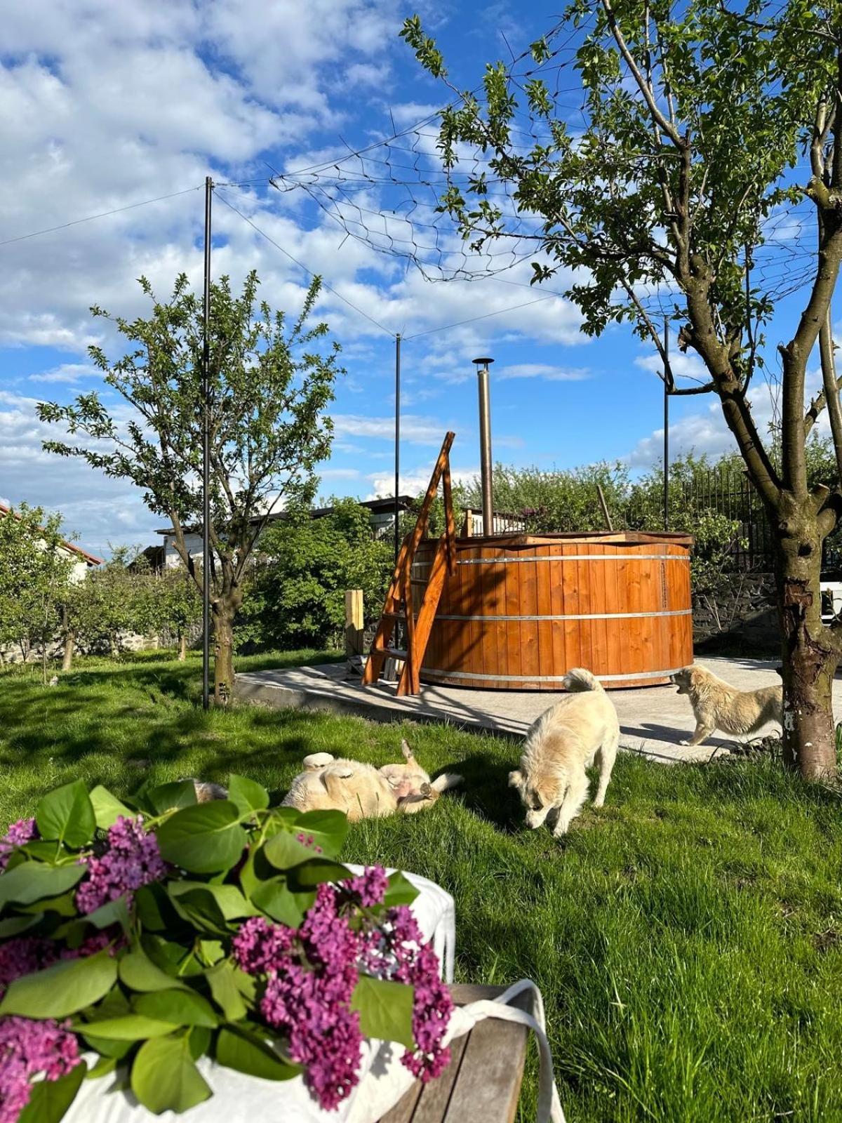 Casa Din Deal Сибиу Экстерьер фото
